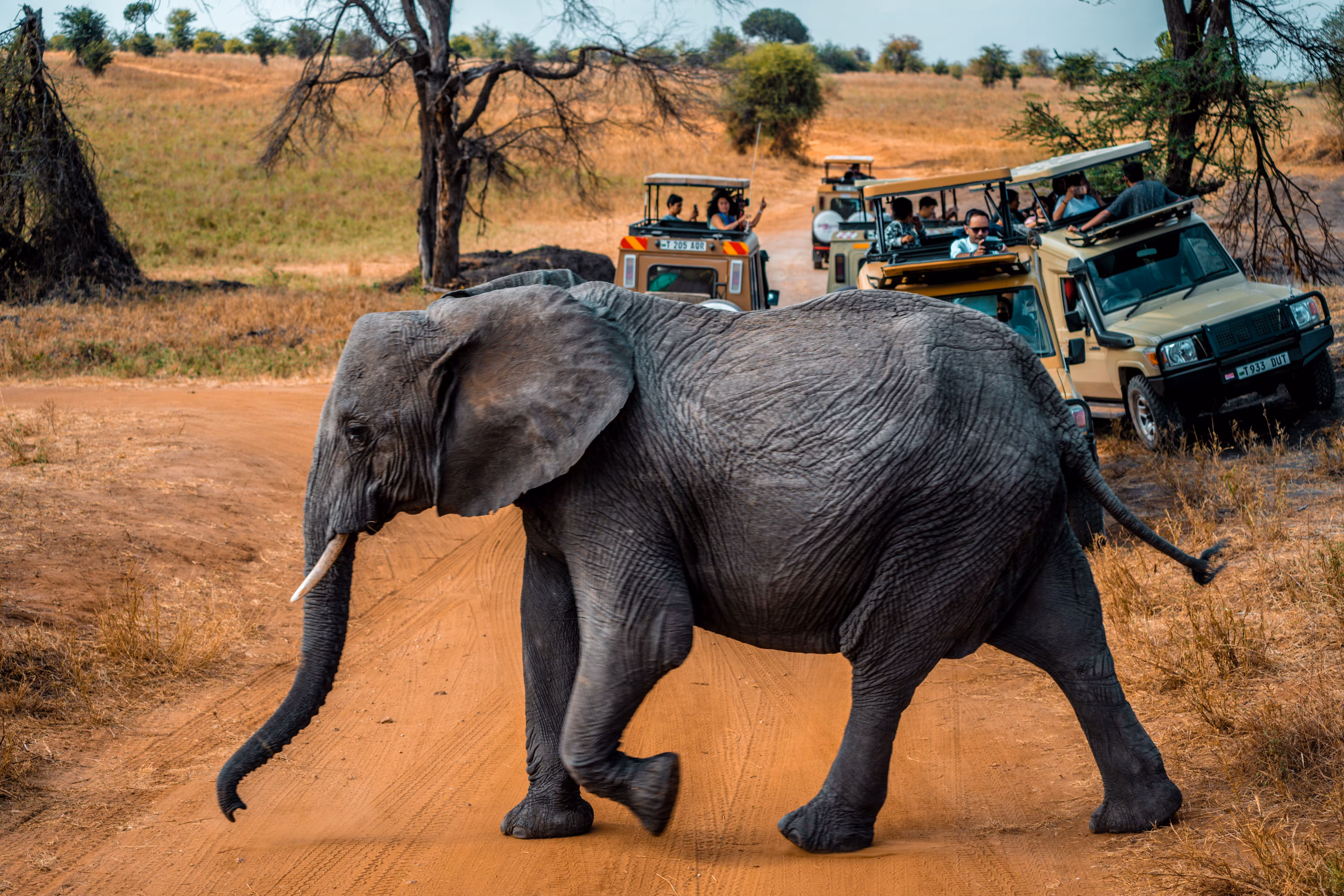 Community & Conservation Safari — Tanzania itinerary by Nyumbu Trek